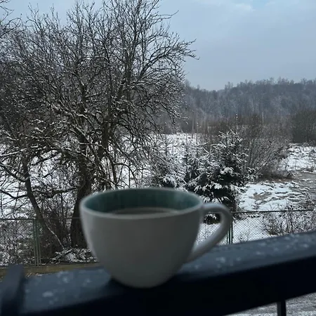 байлово